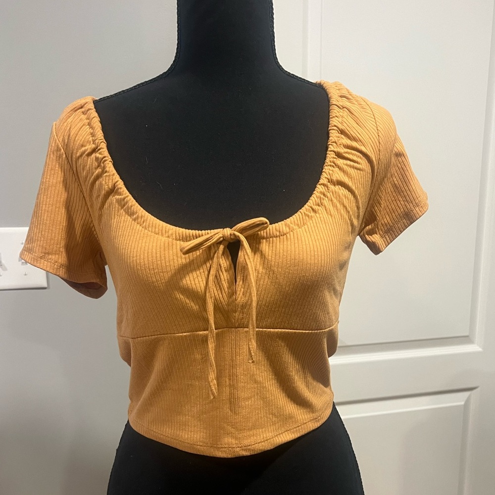burnt orange crop top tie front PacSun